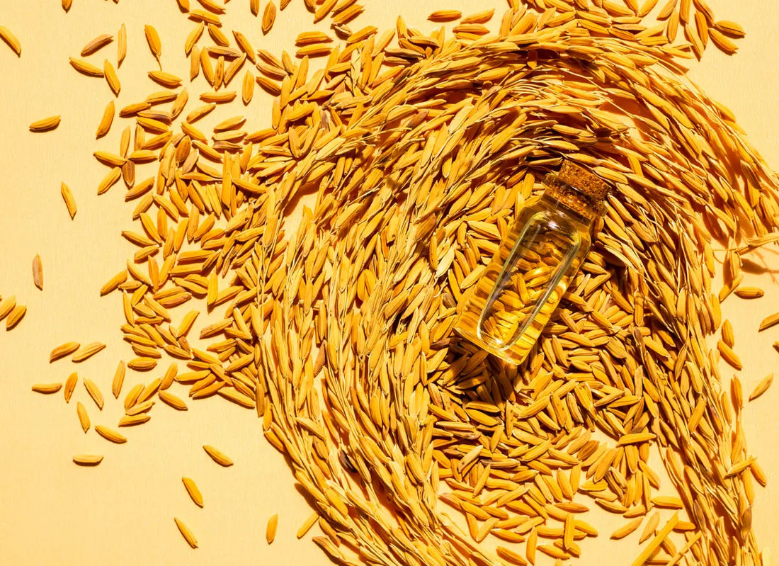Benefits of Rice Bran Oil for Everyday Cooking