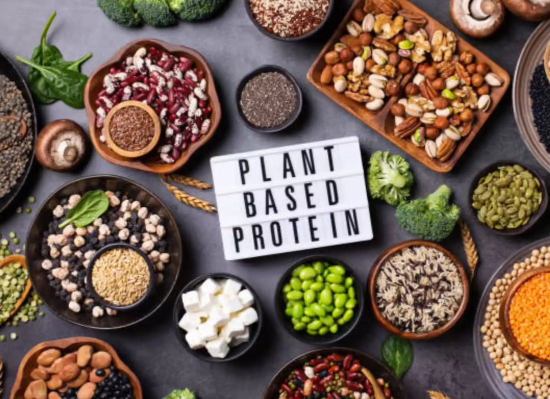 Health Best of Plant-Based Proteins and Sources